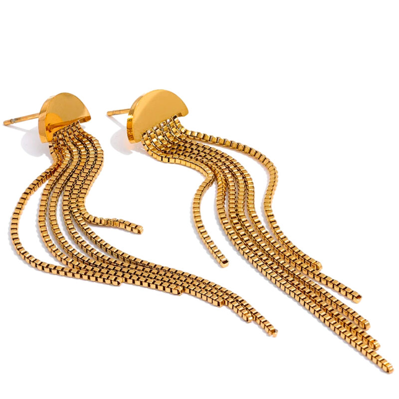 Long tassel earrings